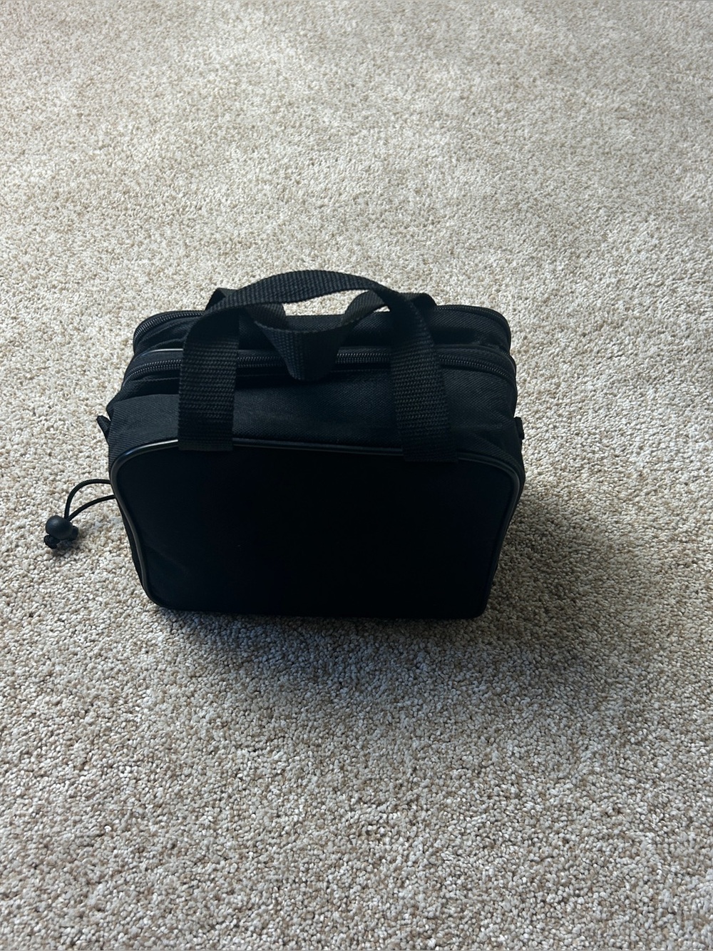 Audiovox Portable Monitor and DVD Player - Picture 13 of 14